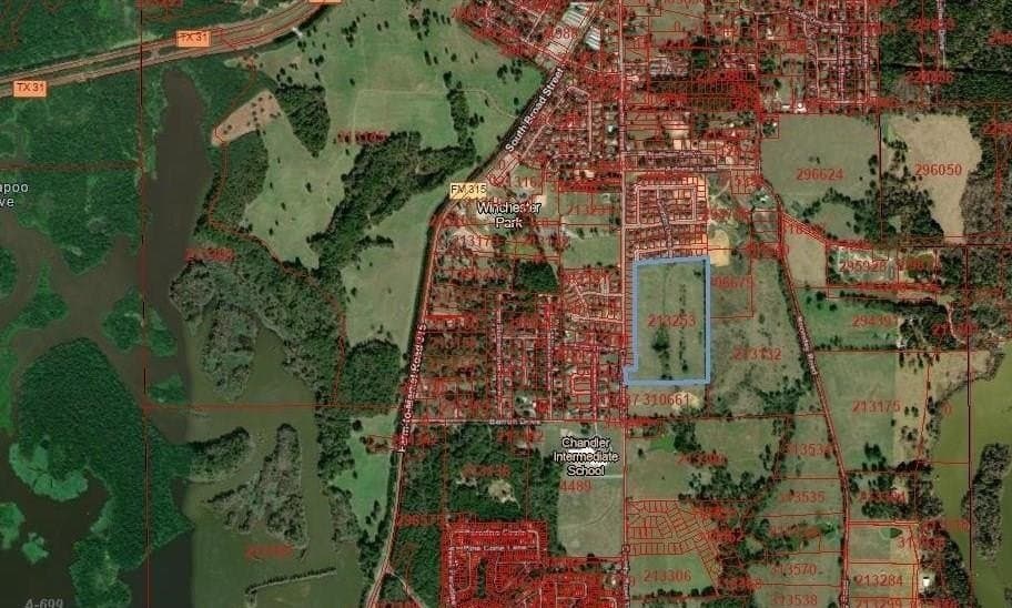 29 acres in Henderson County gallery image 3