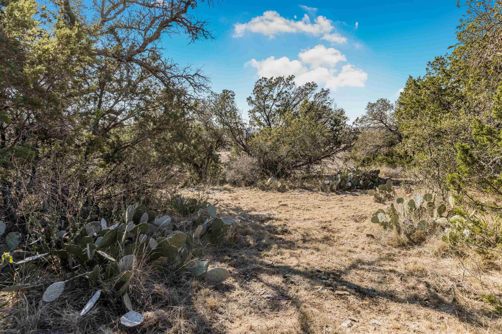 1.53 acres in Burnet County - photo 6