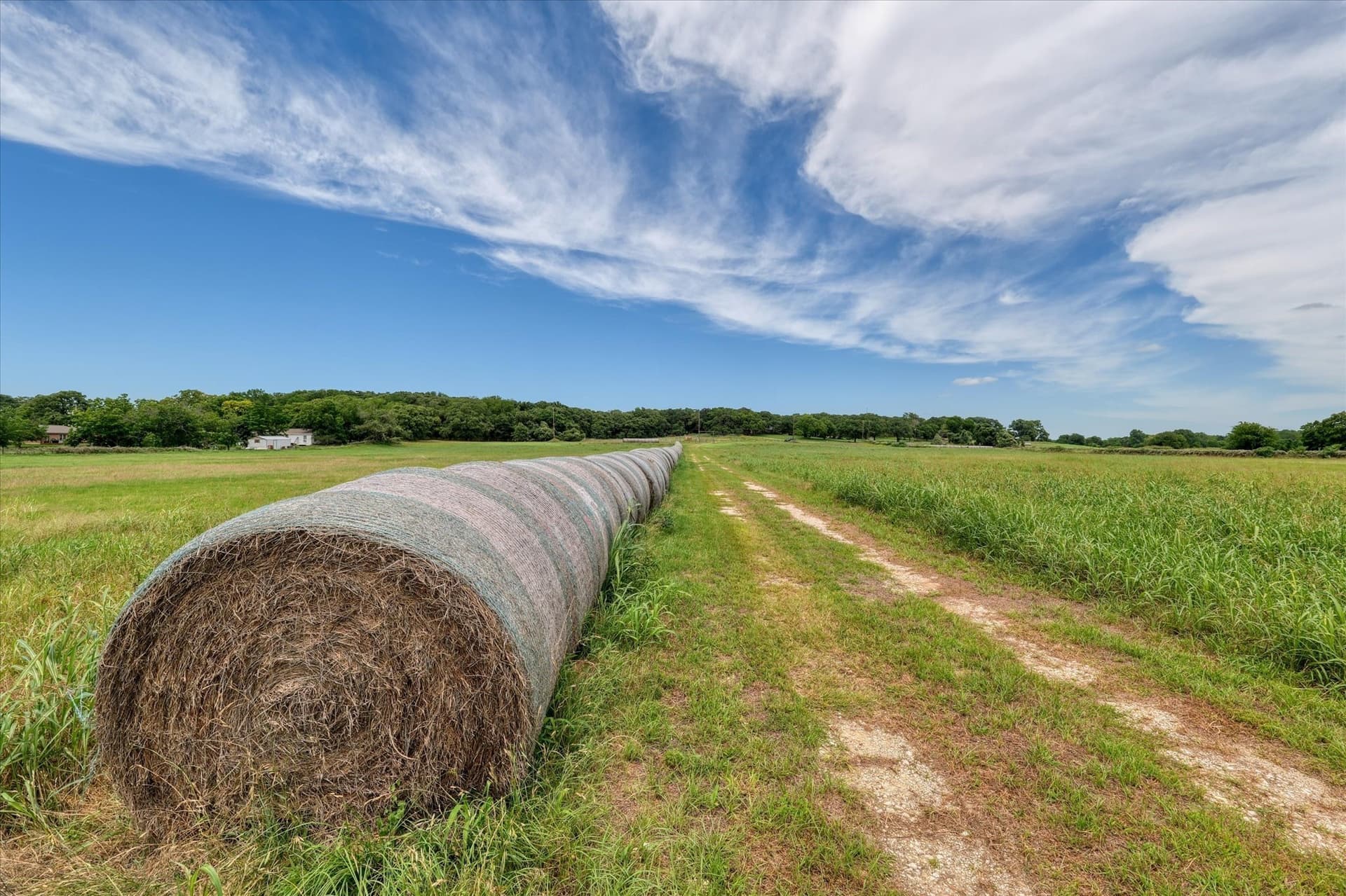 26.77 acres in McLennan County gallery image 4