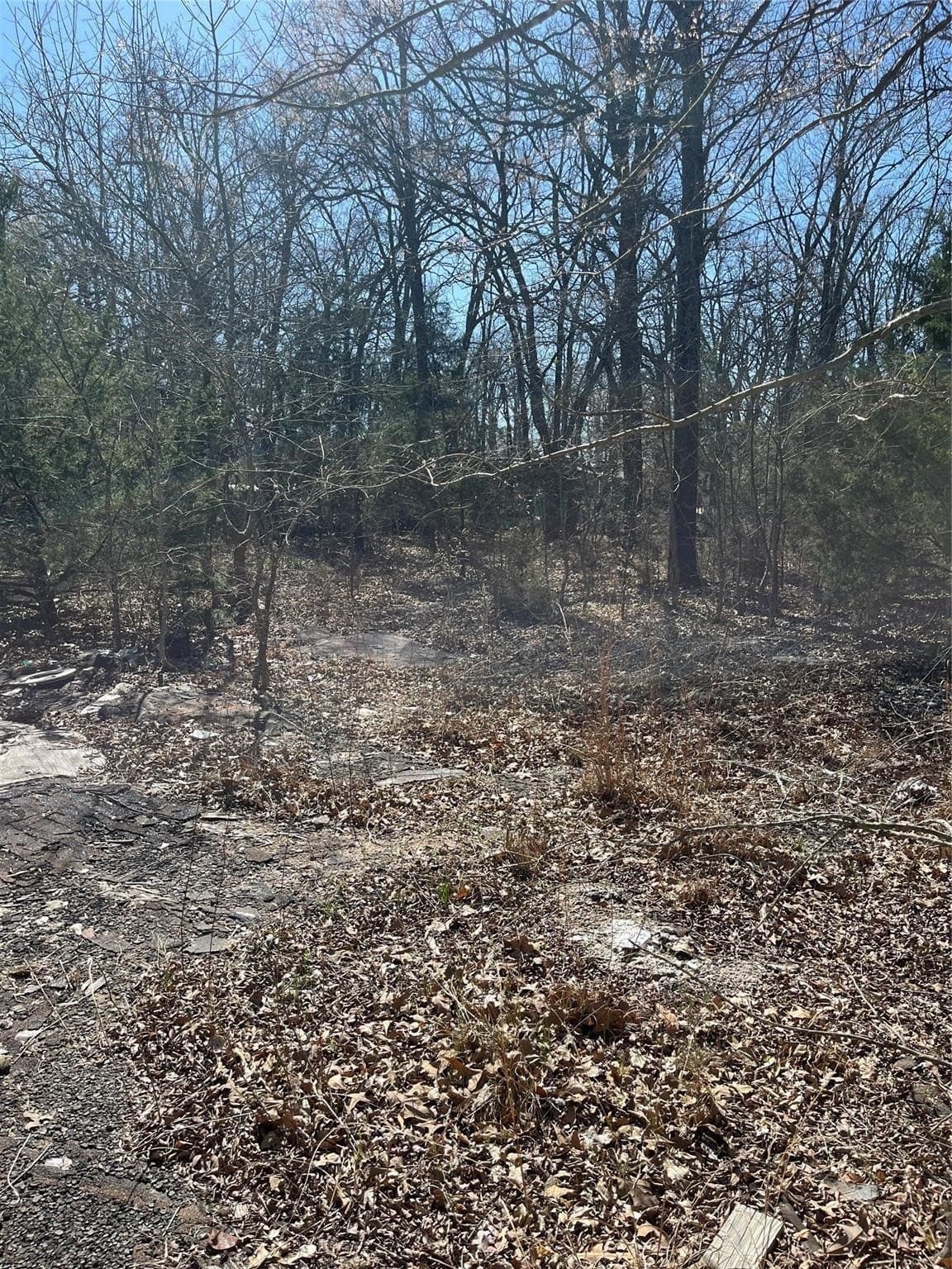 0.39 acres in Hunt County - photo 3