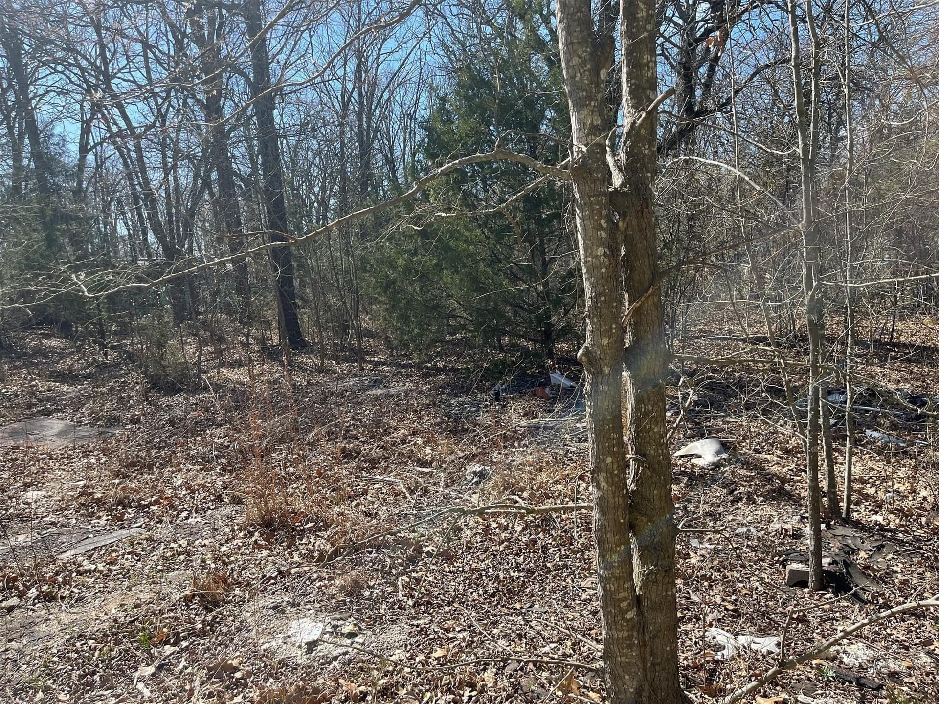 0.39 acres in Hunt County - photo 2