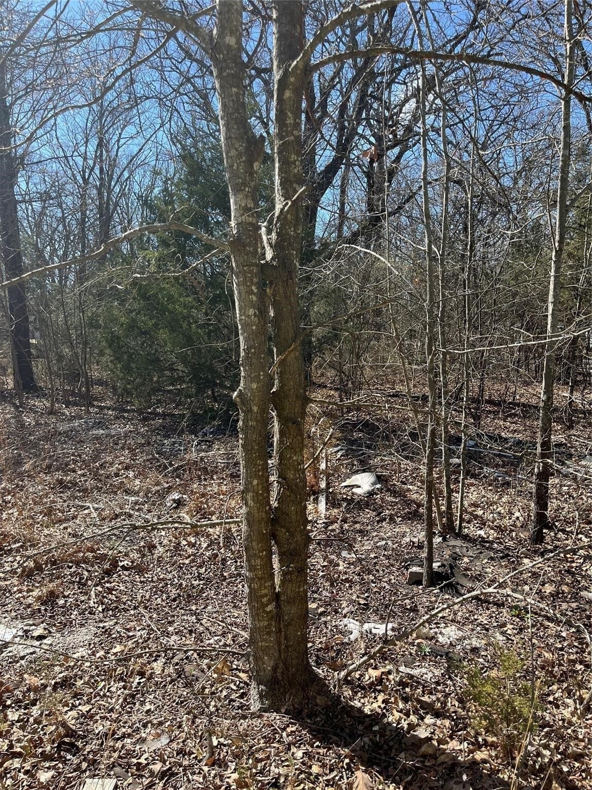0.39 acres in Hunt County - photo 5
