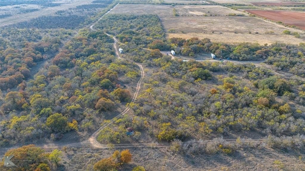89.1 acres in Callahan County gallery image 4