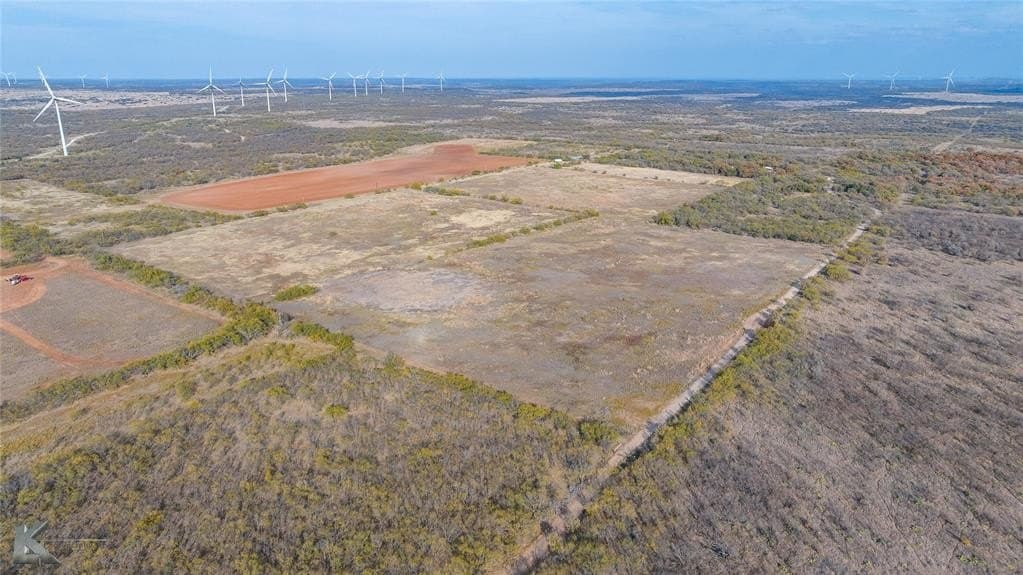 89.1 acres in Callahan County gallery image 3