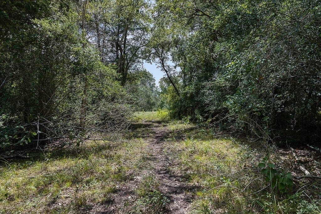 96.78 acres in Fayette County - photo 22