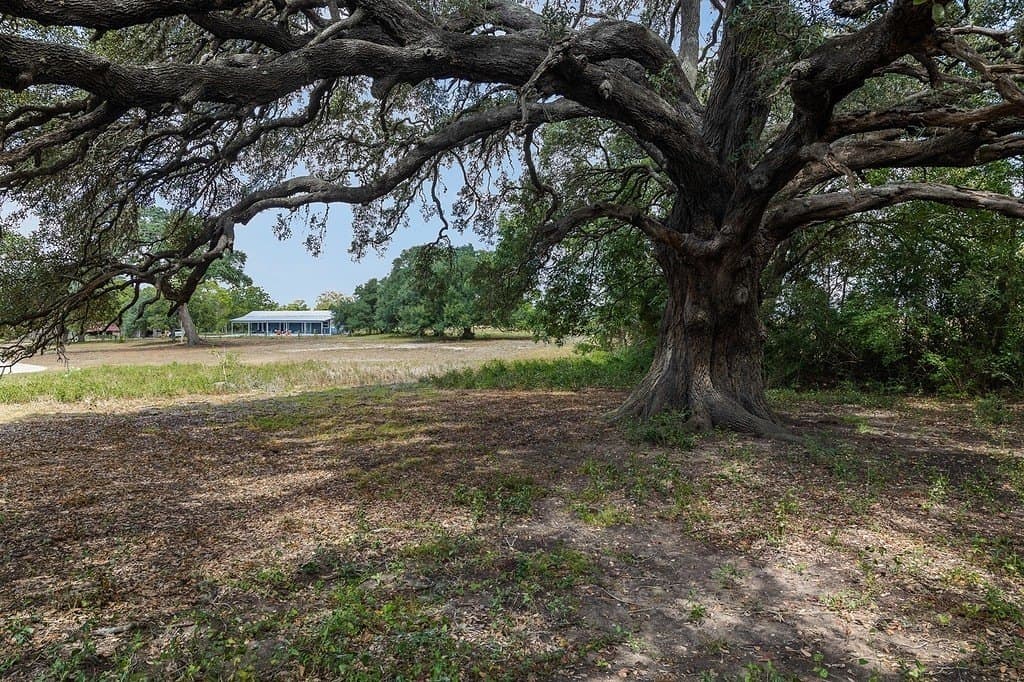 96.78 acres in Fayette County - photo 21