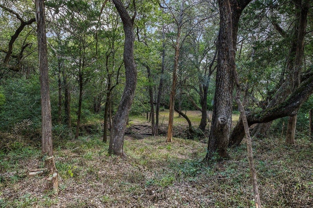 96.78 acres in Fayette County - photo 23
