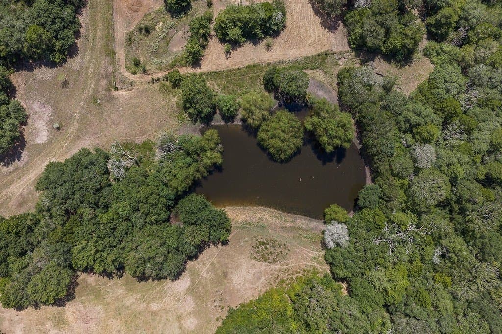 96.78 acres in Fayette County - photo 25