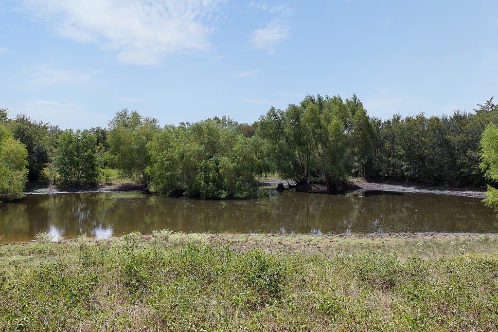 96.78 acres in Fayette County - photo 24