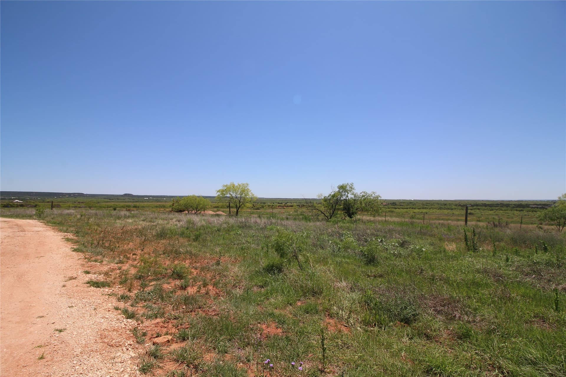 9.38 acres in Taylor County featured view