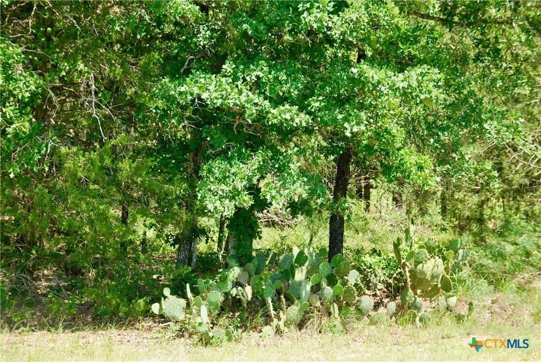 15 acres in Fayette County - photo 42