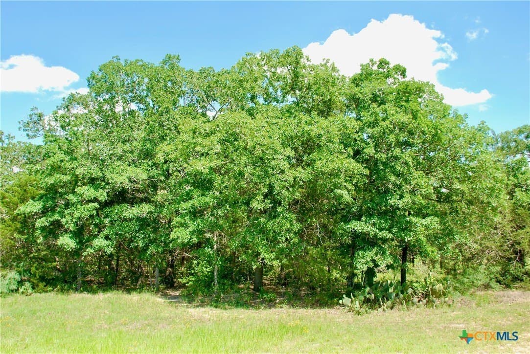 15 acres in Fayette County - photo 41