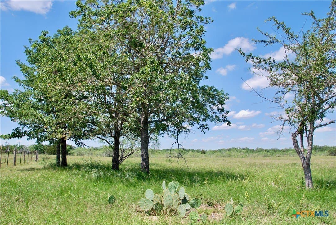 15 acres in Fayette County - photo 38