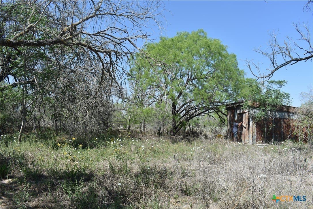40 acres in Atascosa County - photo 18