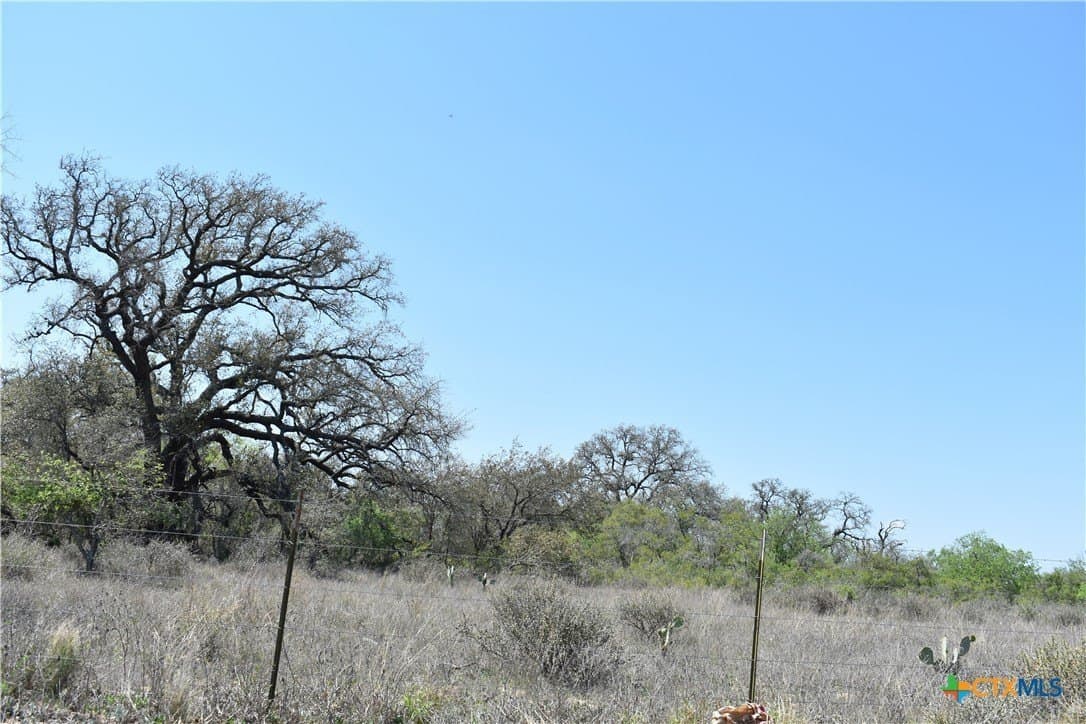 40 acres in Atascosa County - photo 33