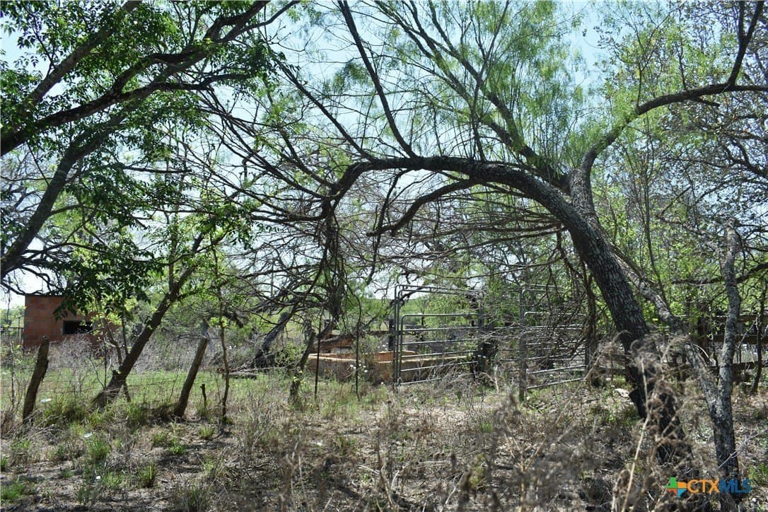 40 acres in Atascosa County - photo 15