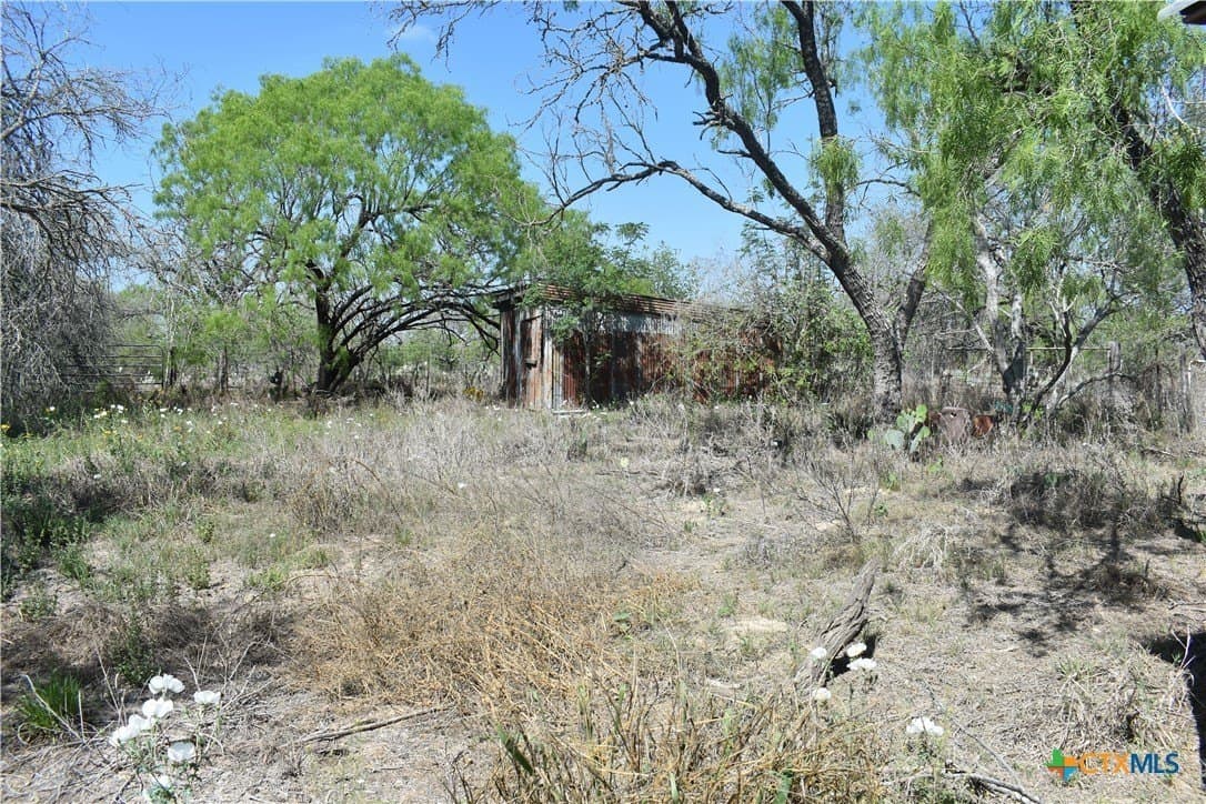 40 acres in Atascosa County - photo 11