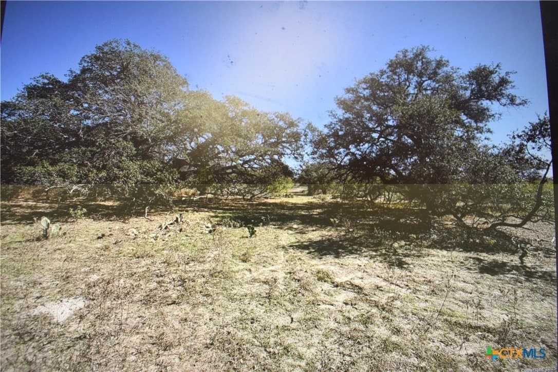40 acres in Atascosa County - photo 9