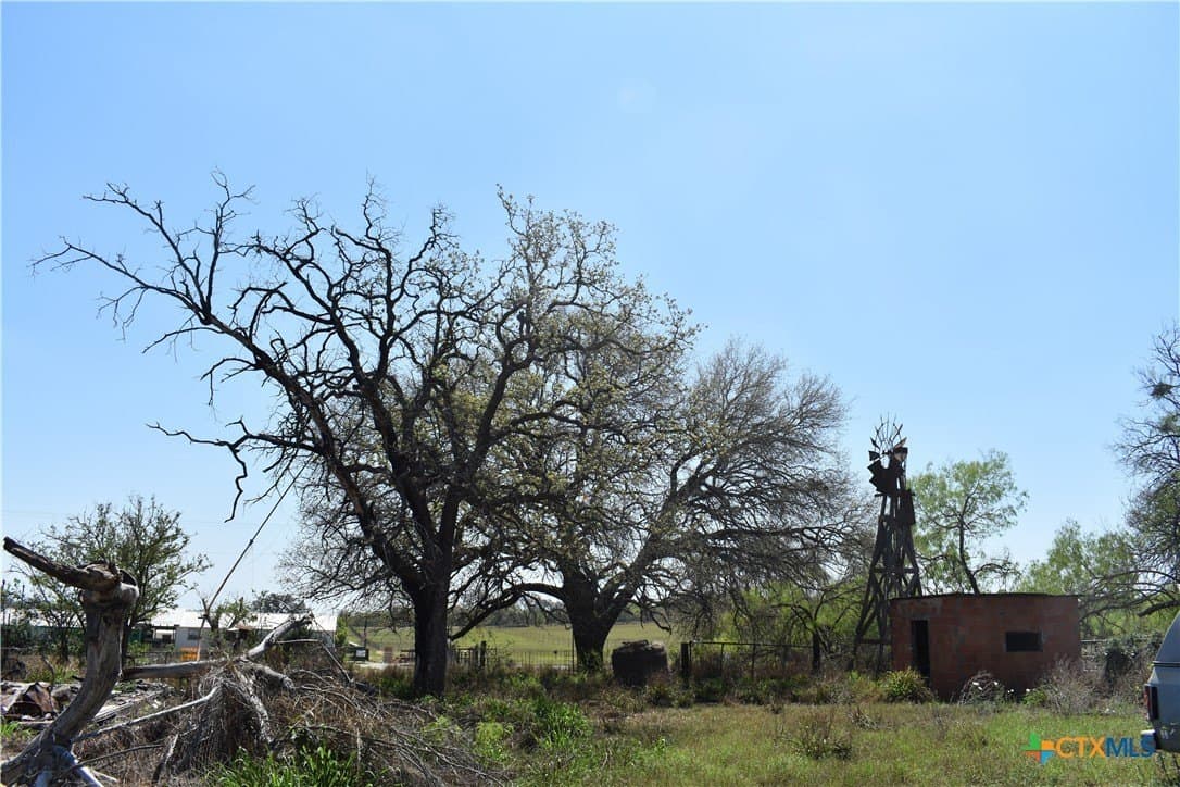 40 acres in Atascosa County - photo 20
