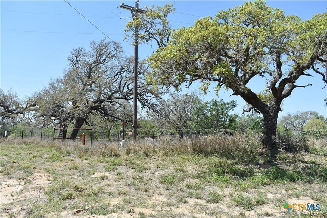 40 acres in Atascosa County - photo 27
