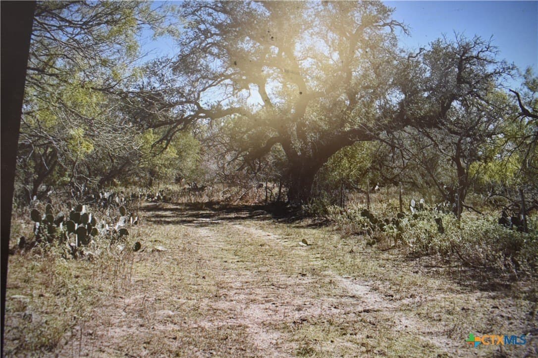 40 acres in Atascosa County - photo 8