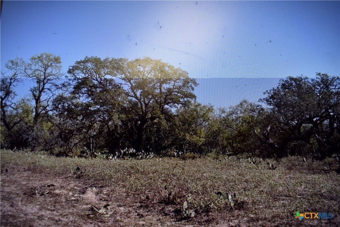 40 acres in Atascosa County - photo 7