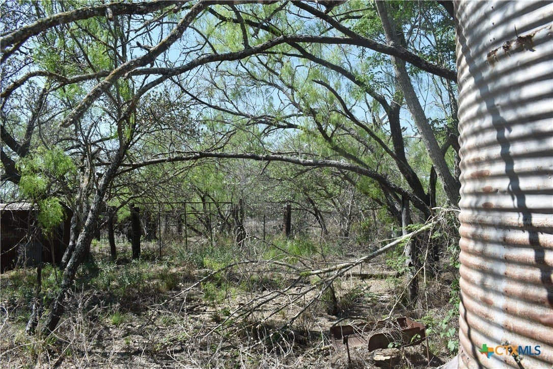 40 acres in Atascosa County - photo 13