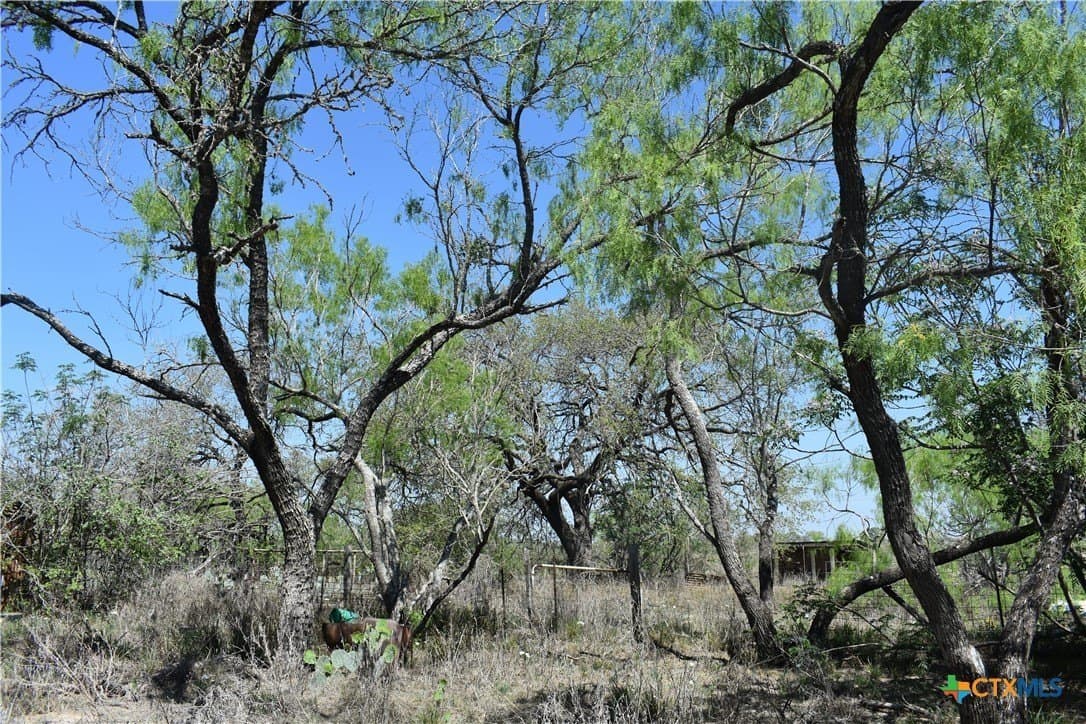 40 acres in Atascosa County - photo 17