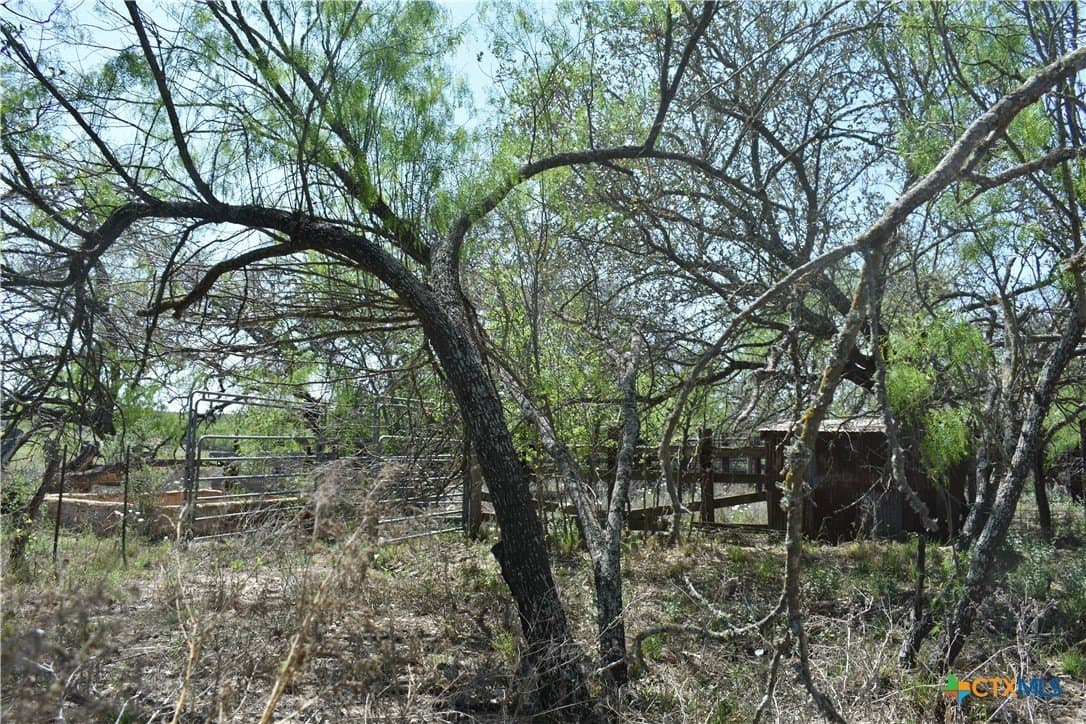 40 acres in Atascosa County - photo 14