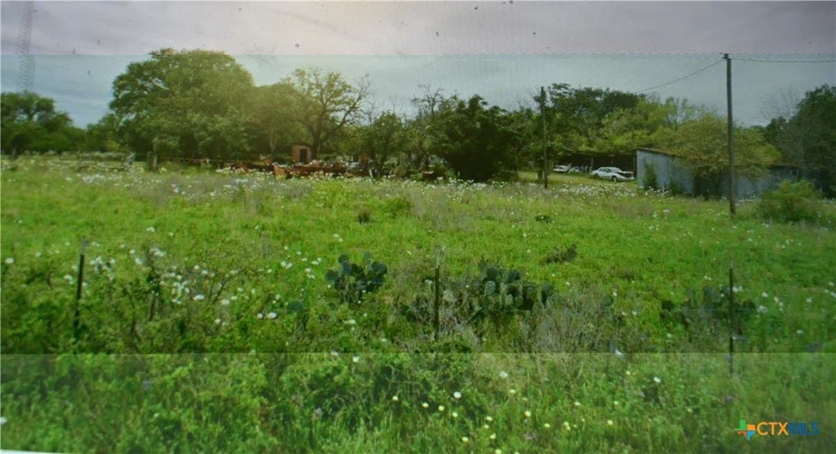 40 acres in Atascosa County gallery image 2