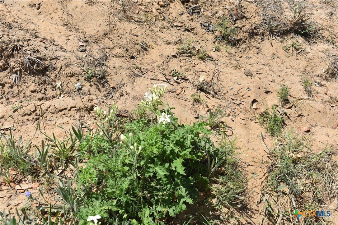 40 acres in Atascosa County - photo 31