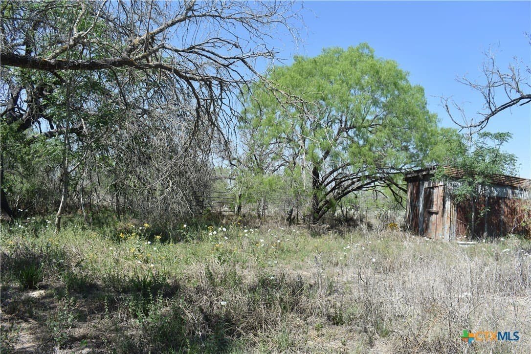 40 acres in Atascosa County - photo 19