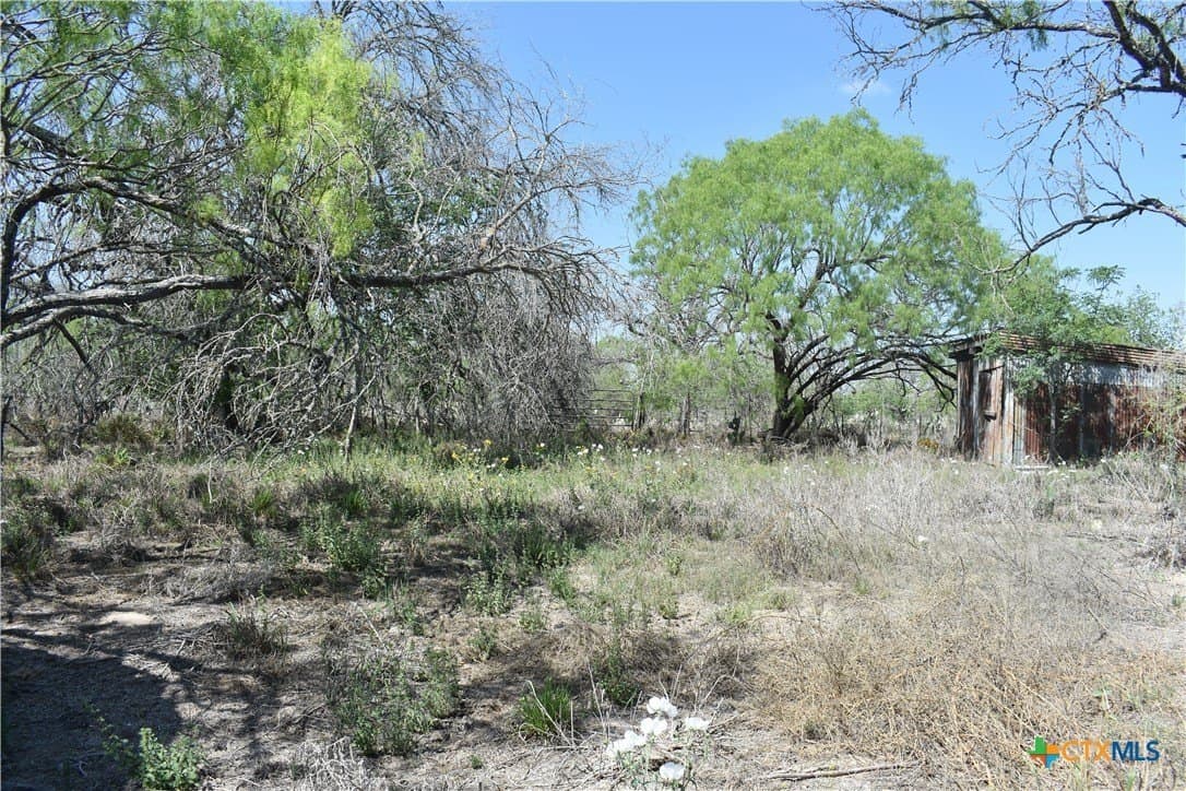 40 acres in Atascosa County - photo 12