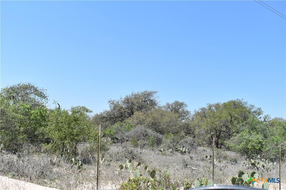 40 acres in Atascosa County - photo 32