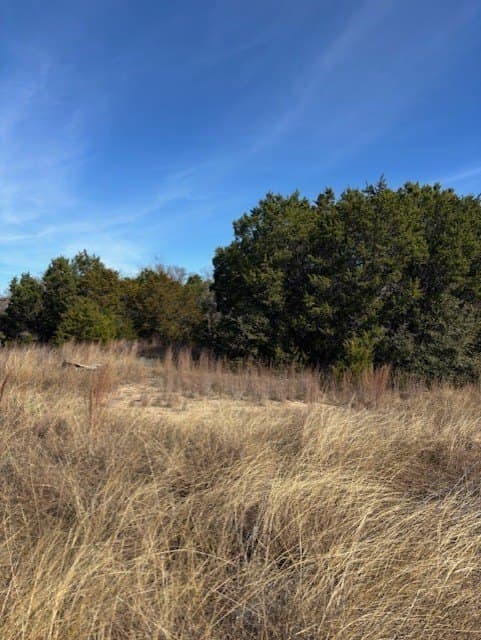 6.02 acres in Parker County - photo 6