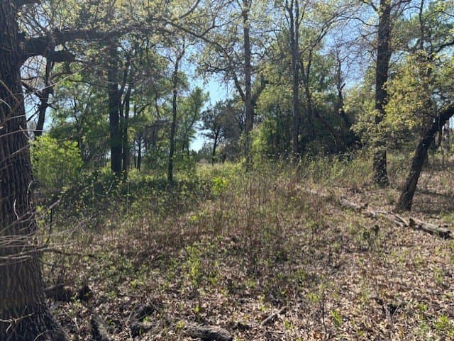 6.02 acres in Parker County - photo 11