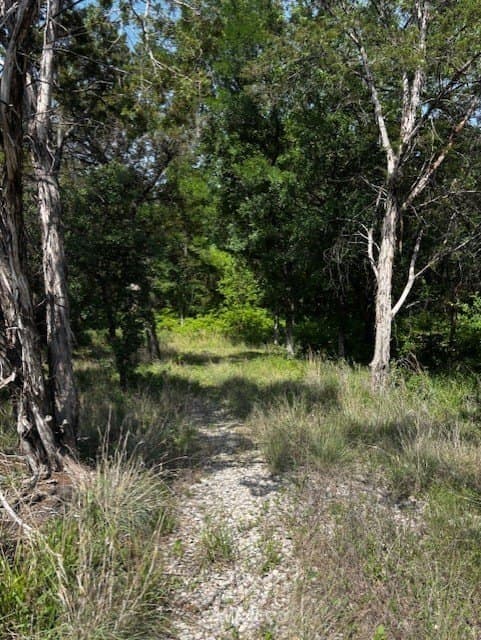 6.02 acres in Parker County gallery image 2