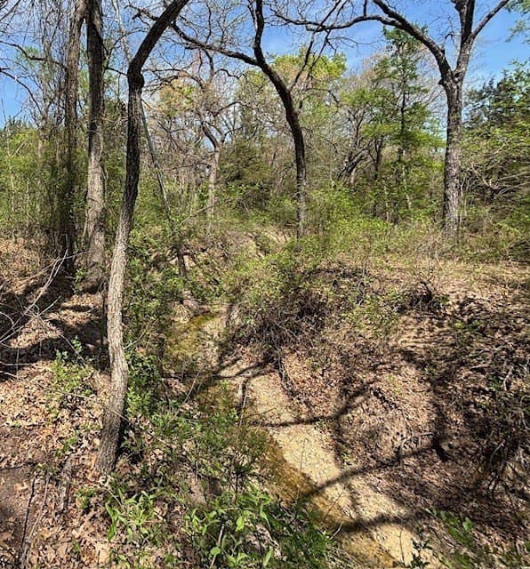 6.02 acres in Parker County - photo 14