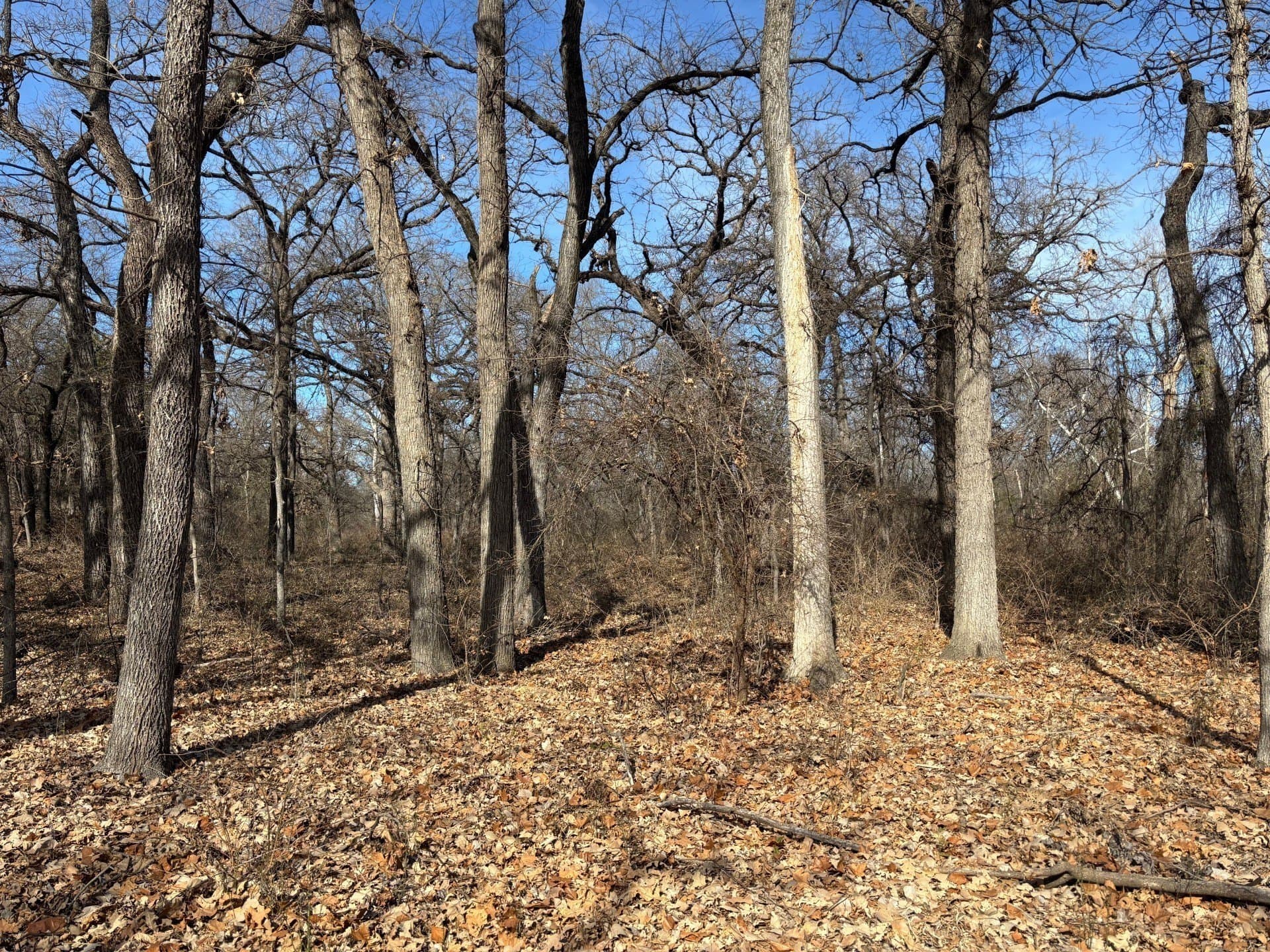6.02 acres in Parker County - photo 9