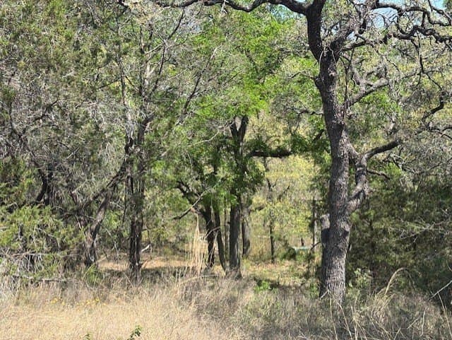 6.02 acres in Parker County - photo 15