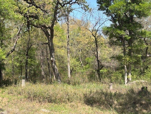 6.02 acres in Parker County - photo 17
