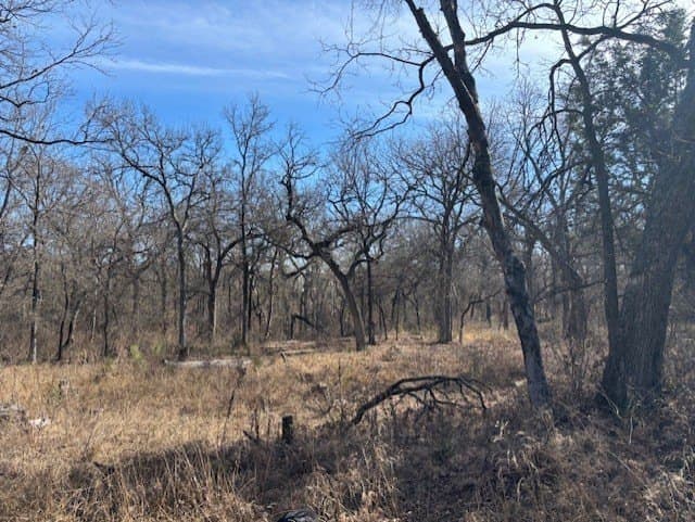 6.02 acres in Parker County - photo 8