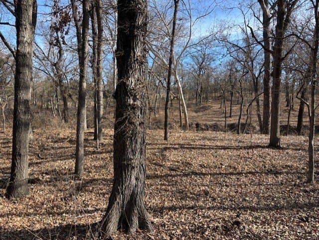6.02 acres in Parker County - photo 7