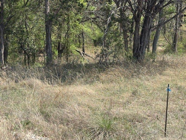 6.02 acres in Parker County - photo 16