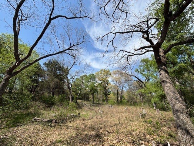 6.02 acres in Parker County - photo 13
