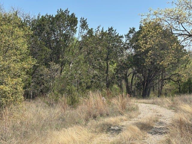 6.02 acres in Parker County - photo 10