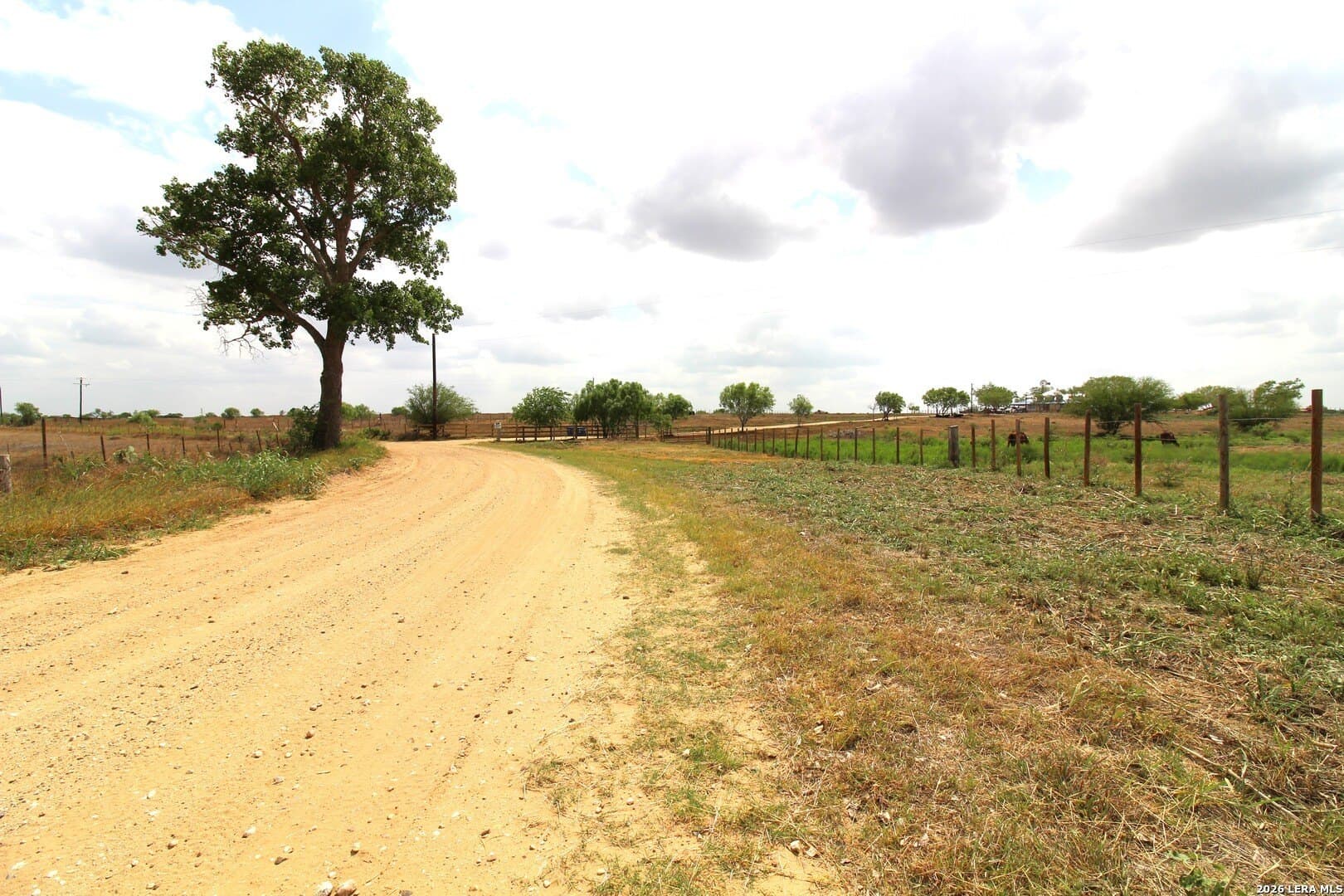 20.66 acres in Wilson County - photo 6