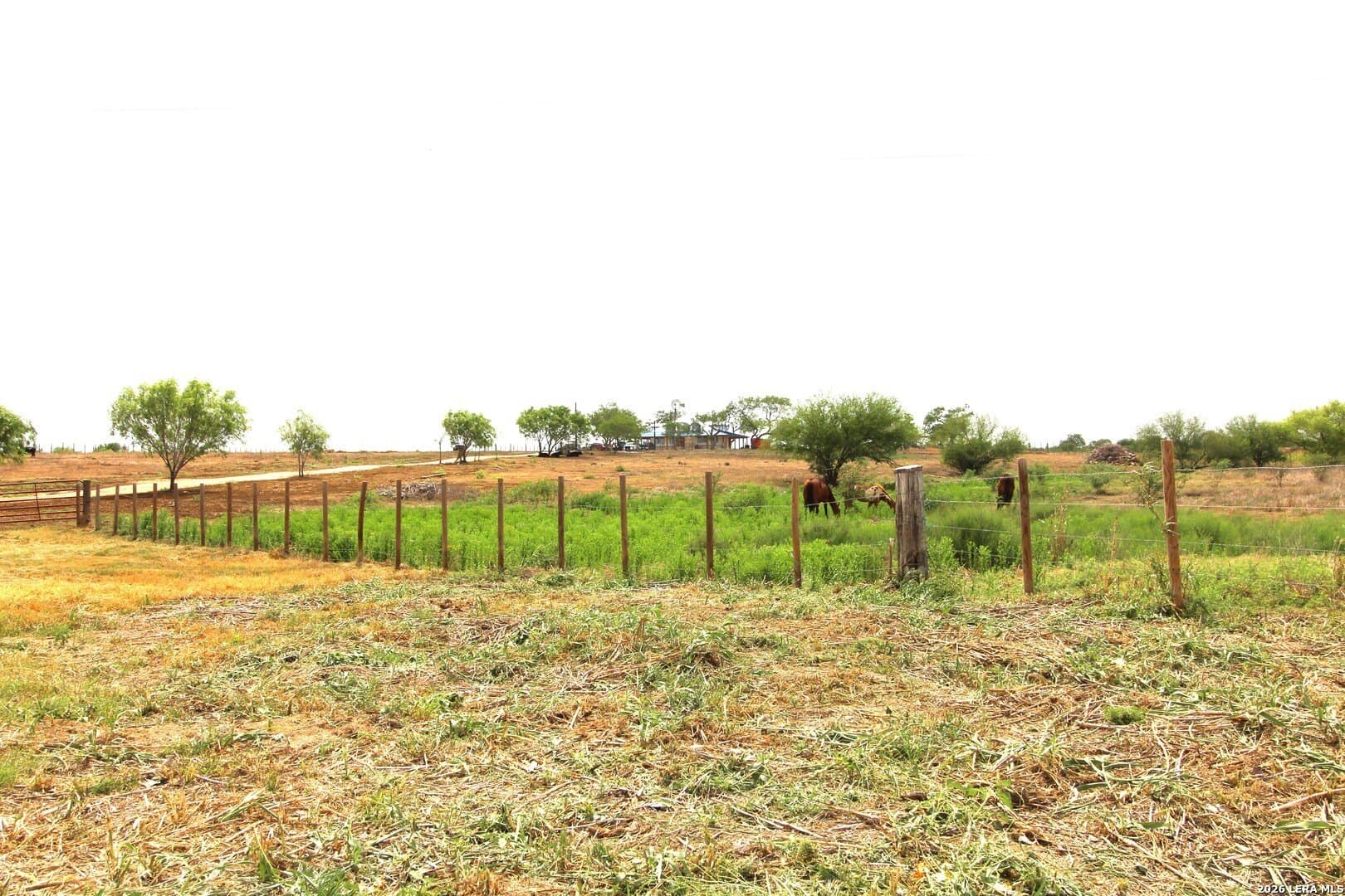 20.66 acres in Wilson County - photo 7