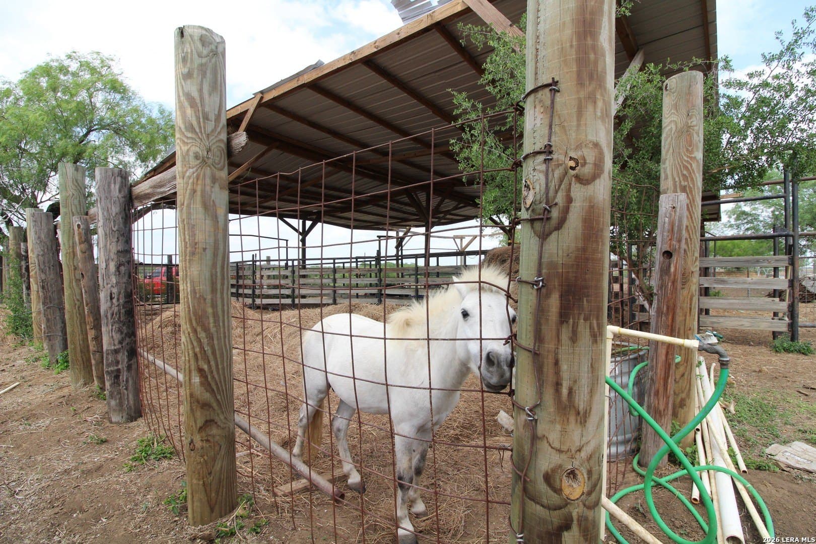 20.66 acres in Wilson County - photo 24