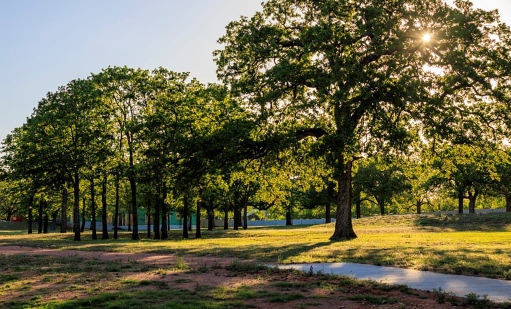 0.39 acres in Gillespie County gallery image 4